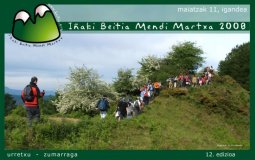2008ko afitxa (kartela)